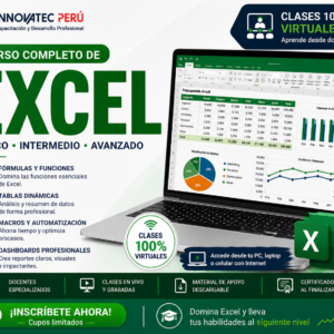 Excel Profesional